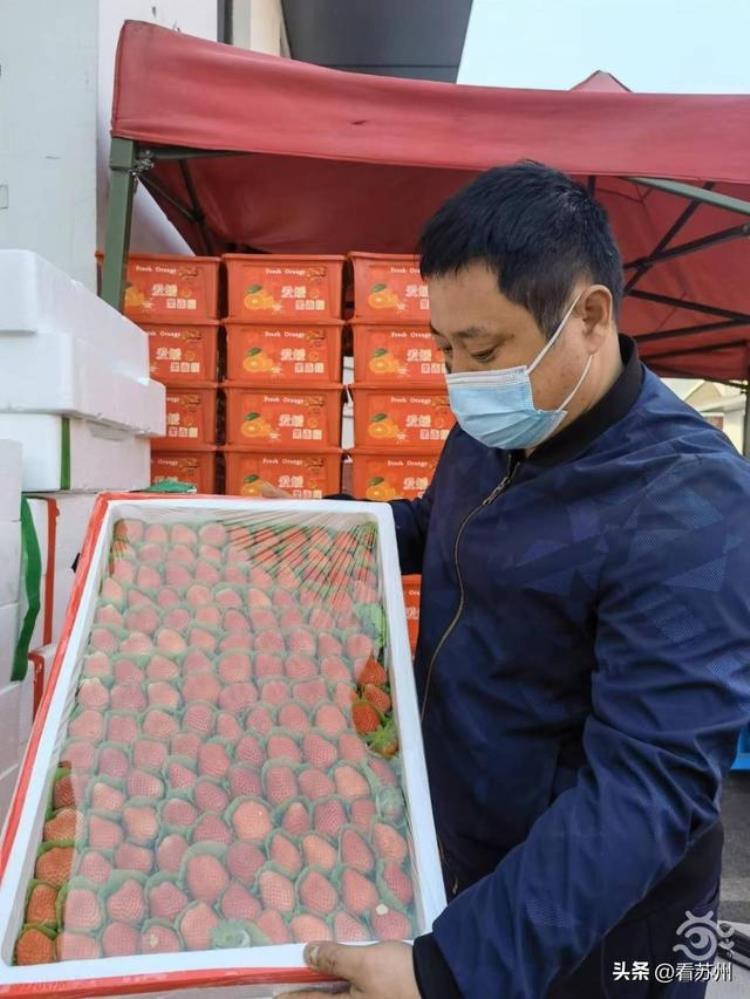 苏州部分时令水果降价「水果迎来降价风苏州市民的果盘子更轻松啦」