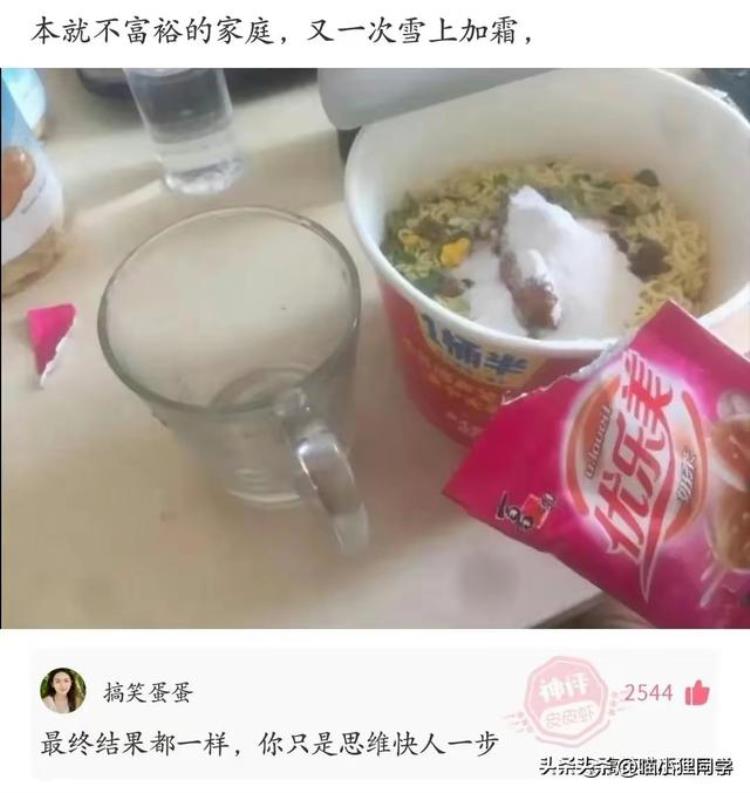 鳄龟第一人,鳄龟怎么养才不会断尾