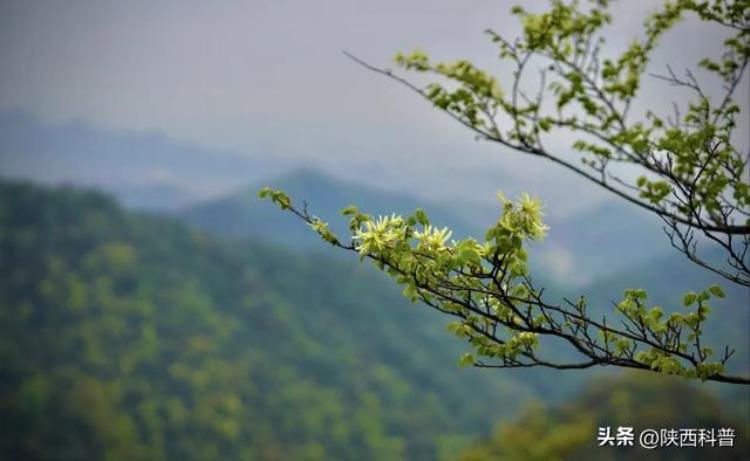 清明节必下雨,清明下雨的诗句