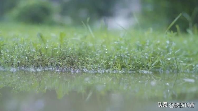 清明节必下雨,清明下雨的诗句