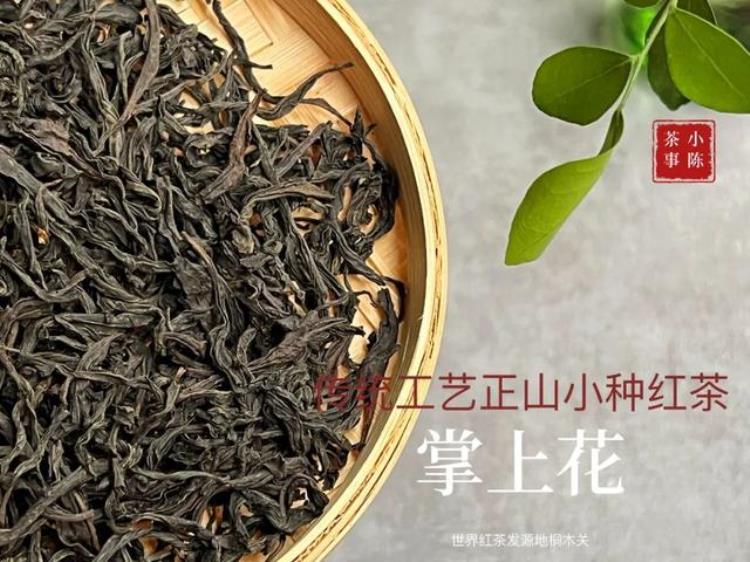 喝茶要不要应季春茶夏茶秋茶冬茶究竟有什么区别