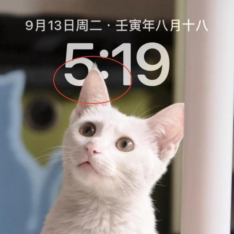 苹果更新16.1,有人更新ios16吗