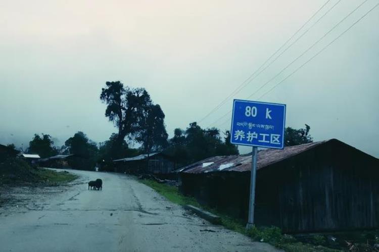 西藏墨脱在西藏什么位置,西藏墨脱死亡最惨重的一次地震