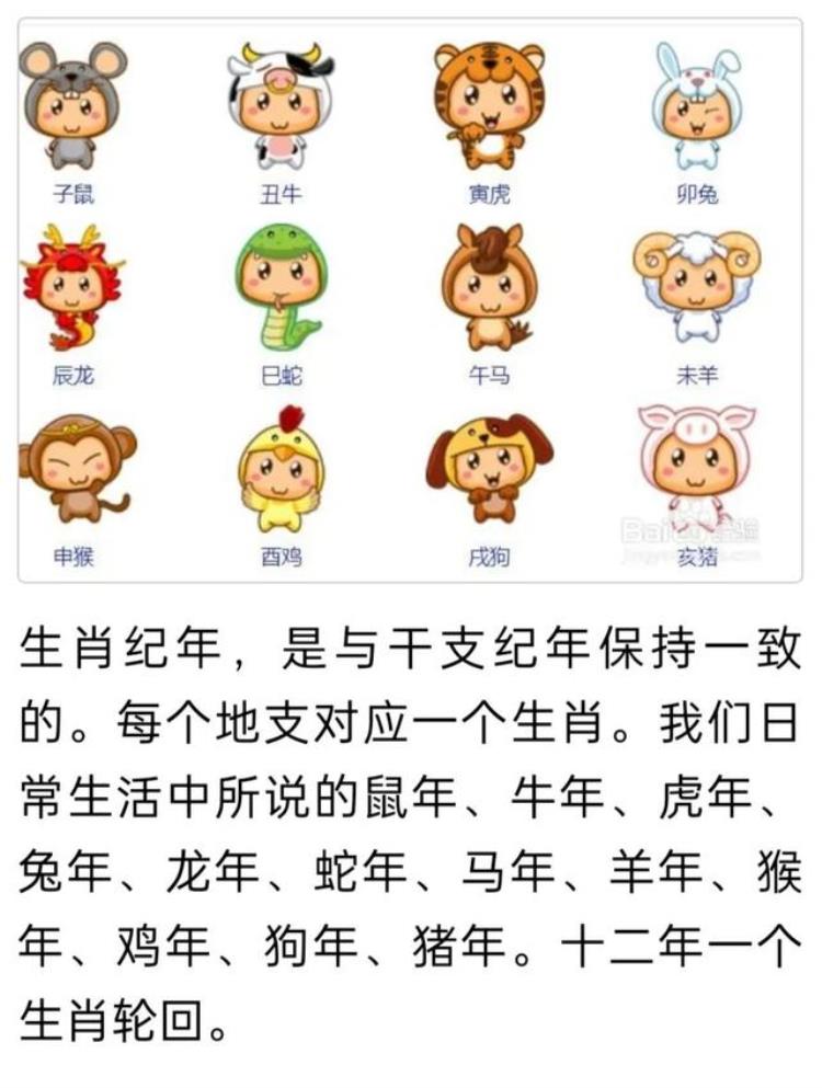 虎年出生的小孩也属牛为什么不是属虎,元旦后出生的宝宝属牛还是属虎