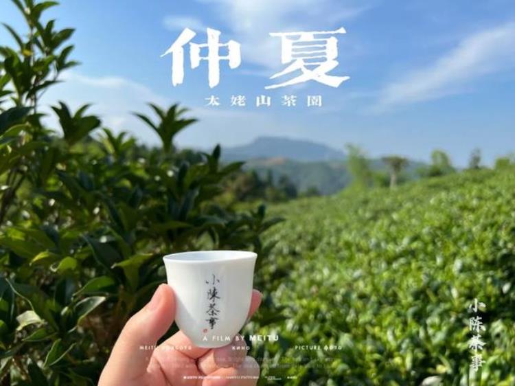 喝茶要不要应季春茶夏茶秋茶冬茶究竟有什么区别