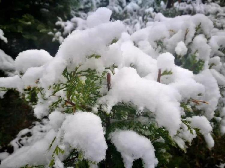 内蒙古下雪2020年4月份,内蒙古最强寒潮