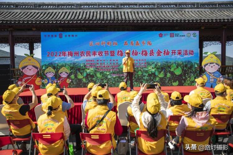 广东哪里盛产柚子「广东一座地级市竟是国际认可的世界长寿之都尤其盛产柚子」