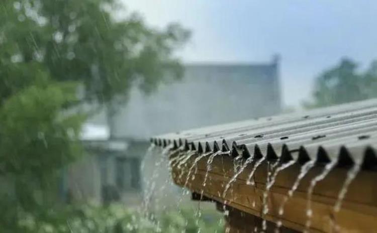 八月初八会下雨,今年天气雨水预测