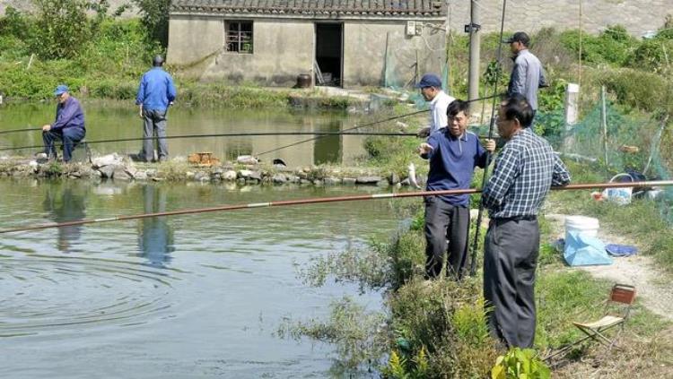 为什么天气暖和了鲫鱼更难钓「天气越来越暖和鱼却为啥越来越难钓原因其实很简单」