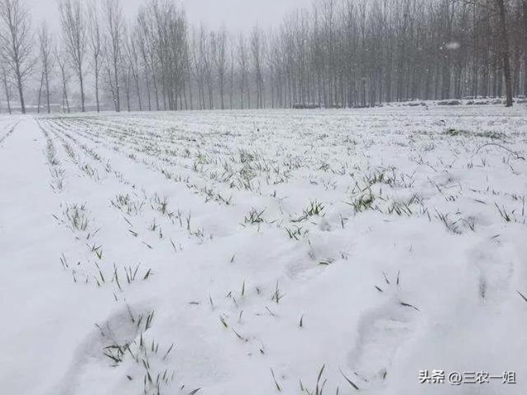 12月7号大雪老话说火中雪晚交节是啥意思有什么预兆