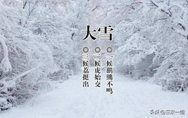 12月7号大雪老话说火中雪晚交节是啥意思有什么预兆