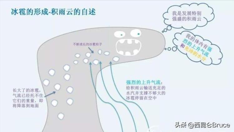 大冰雹如何形成「冰雹比鸡蛋大青海一地突降大冰雹致135只羊死怎么形成的呢」