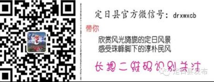 西藏顺丰快递在哪里「招聘西藏顺丰速运有限公司招聘简章」