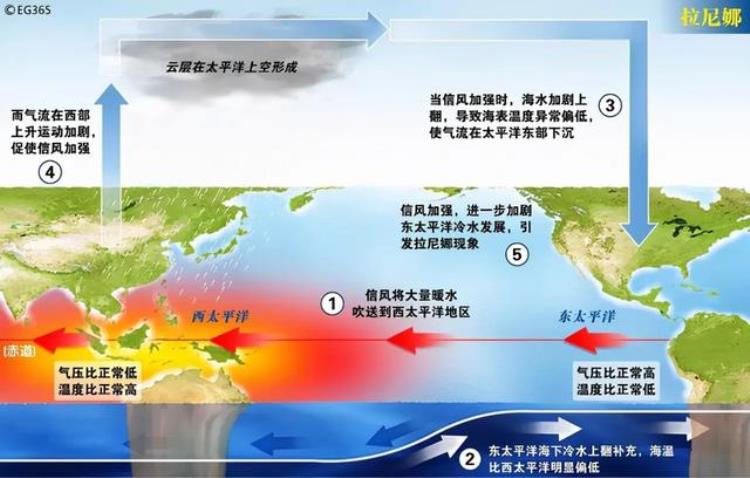 中国降雨带北移「国家气候中心今夏多雨区在北方雨带真的北移了吗」