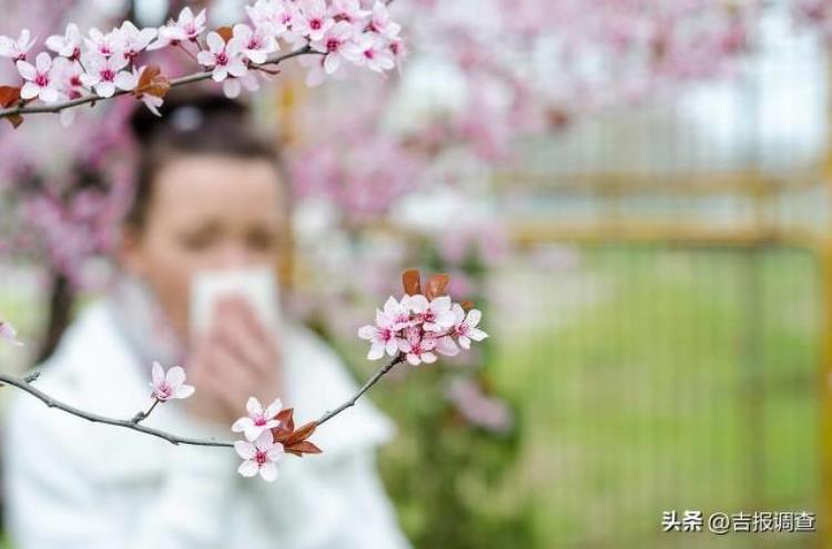 肝火最旺盛的时间「清明时节是肝火最旺的时节调养不当易生病做到6点保健康」