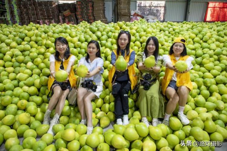 广东哪里盛产柚子「广东一座地级市竟是国际认可的世界长寿之都尤其盛产柚子」