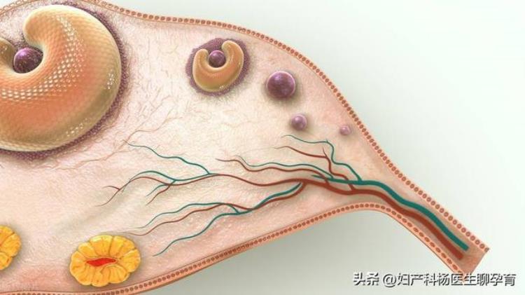 多囊卵巢导致子宫内膜癌「月经不调到不孕子宫内膜癌到心血管疾病皆是多囊卵巢惹的祸」