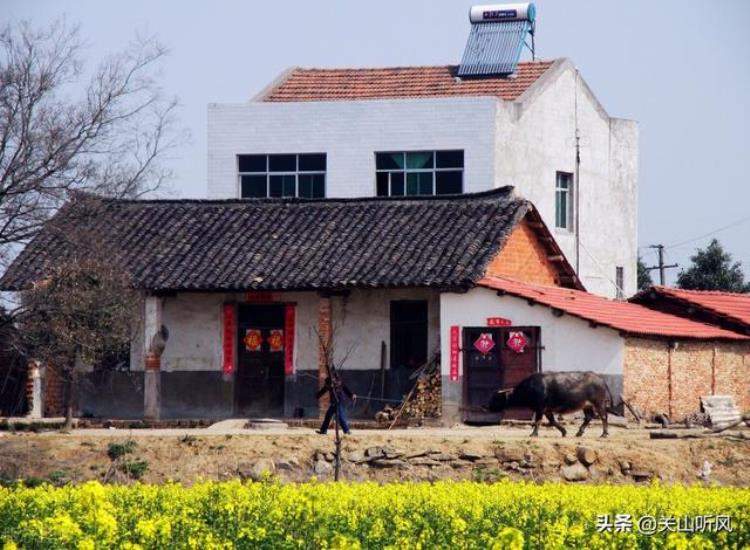 什么是披头房「农村俗语宁住披头房不住露骨屋何谓披头房与露骨屋」