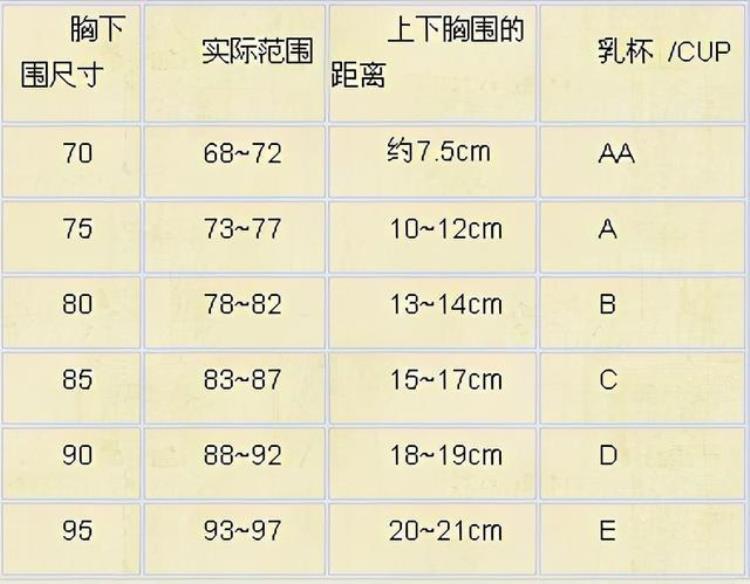 女性的胸部为什么会吸引到男人心理学告诉你想不到的答案