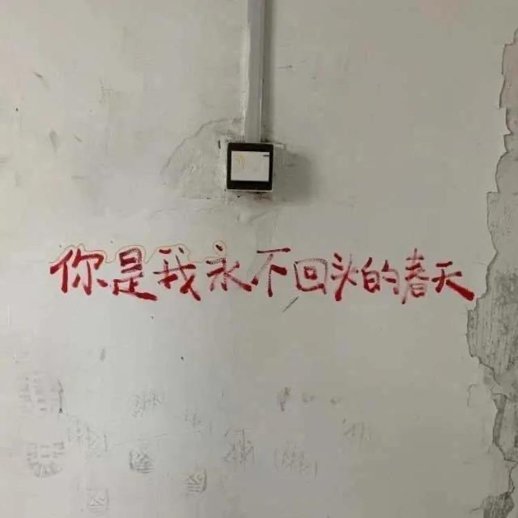 没有结果的人,为什么要相遇「背景图始终不明白没有结果的人为什么要相遇」