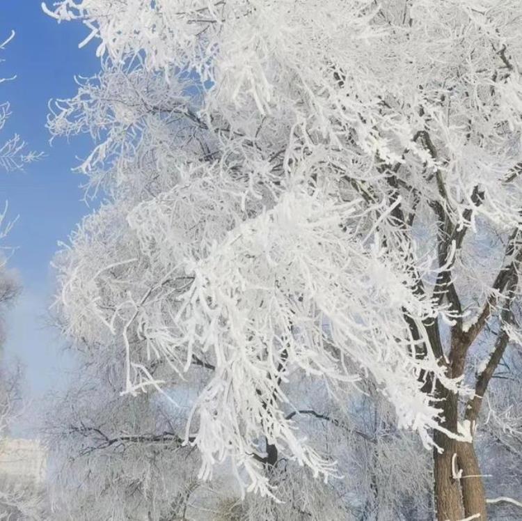 高质量头像背景图套图大全,头像背景图一套系列套图