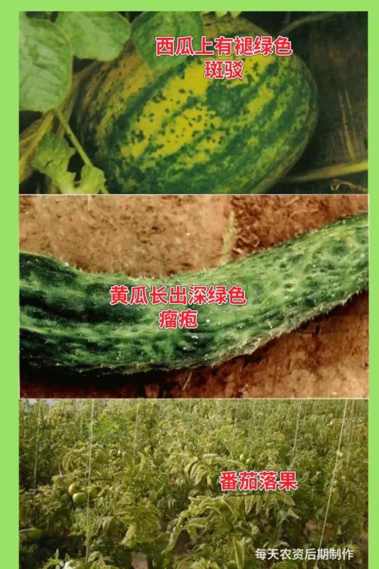 病虫害高发季节「防治害虫的最佳时间是什么时期」