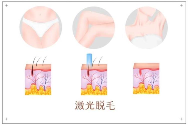 医疗美容护肤「现在最流行美容护肤项目」