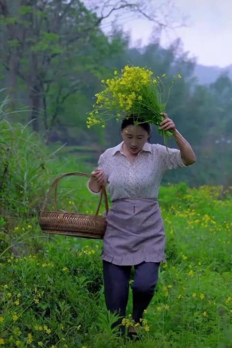 乡愁沈丹靠什么赚钱,乡愁沈丹个人简历分析