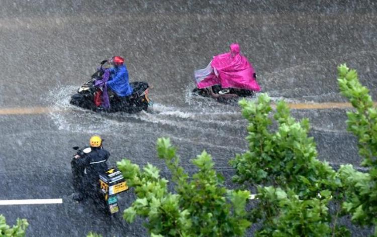 中国降雨带北移「国家气候中心今夏多雨区在北方雨带真的北移了吗」