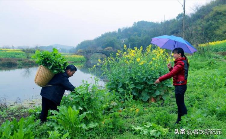 清明不吃什么「老人说闰月清明5不吃吃了难安康5不吃指啥建议了解」