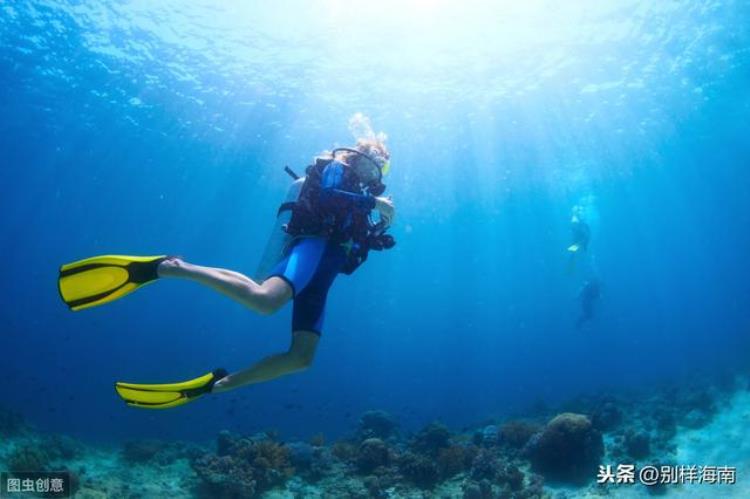 冬天去海南的理由「冬季去海南旅游的10个理由说到第三个我就忍不住了」