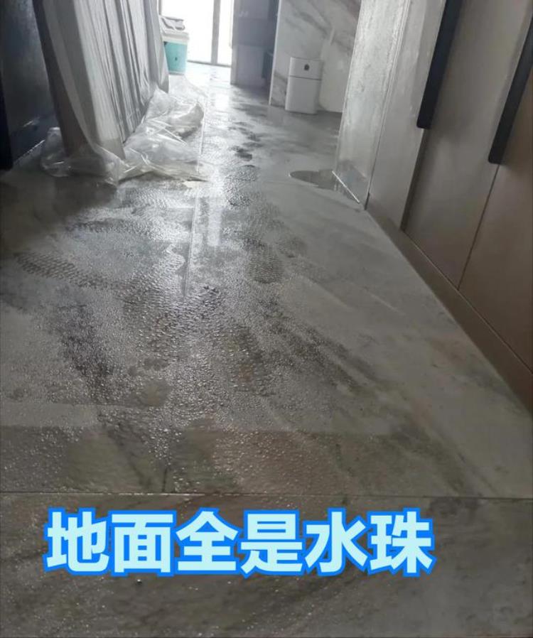 家里潮湿放什么「又到让人讨厌的潮湿季提前给家里添置这3种用品防潮又除湿」