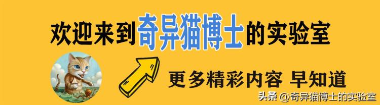 女人出轨很难「据说有一种女生很难出轨不知道是不是真的男生不妨了解下」