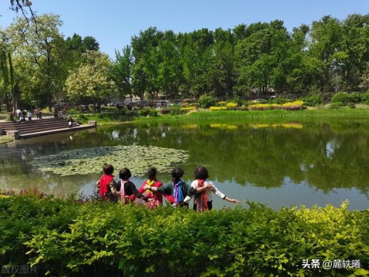 大妈这么老了不要发照片了女摄影师发自己的照片被说辣眼睛