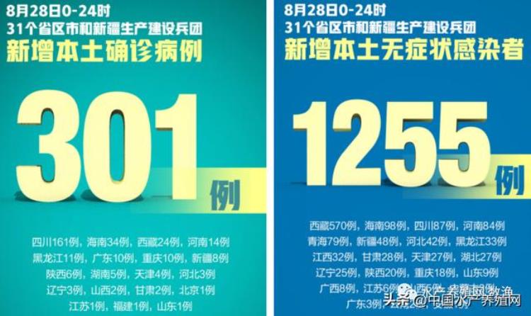 成都鳜鱼行情「四川疫情鳜鱼鲈鱼鮰鱼跌价黑鱼暴涨黄骨涨价中秋前能稳住」