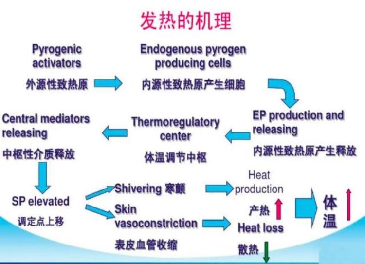 发热机制与退烧药应用研究「退烧药的退烧机理」