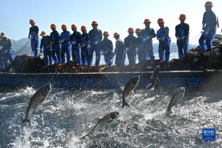 镜观中国·新华社国内新闻照片一周精选「镜观中国新华社国内新闻照片一周精选」