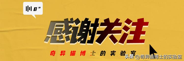 女人出轨很难「据说有一种女生很难出轨不知道是不是真的男生不妨了解下」