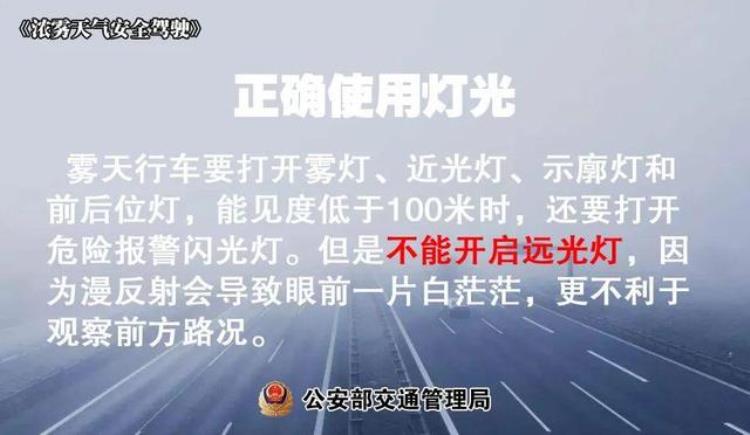 广东新一轮冷空气来袭「温度记AI主播热到要入夏了2月广东将迎4波冷空气」