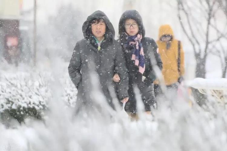 今明雨雪降温预报「明日3月11号大范围雨雪降温已确认今春冷到哭吗看农谚咋说」