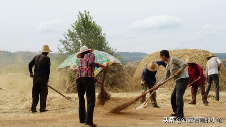 五月初五端午节的禁忌「五月初五端午节牢记3宜4不宜寓意避邪驱毒平安健康」