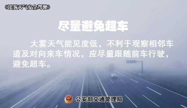 广东新一轮冷空气来袭「温度记AI主播热到要入夏了2月广东将迎4波冷空气」