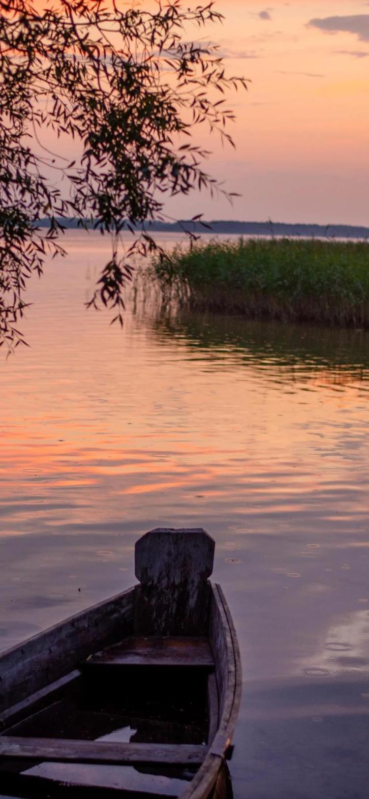 为什么喜欢各种风景壁纸「越来越喜欢喜欢大自然的风景壁纸心理」