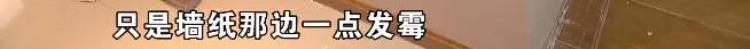 墙面发霉长虫「墙体发霉长虫子中介说正常居住」