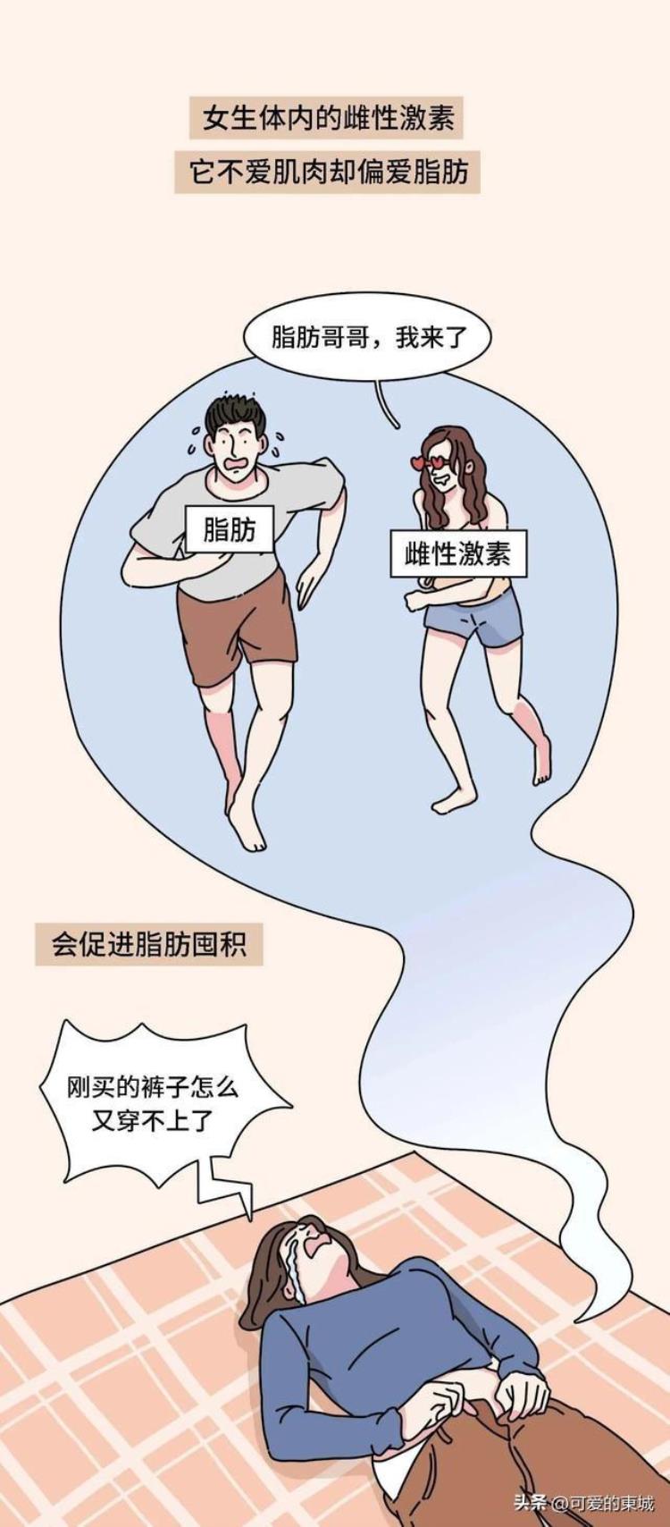 为什么女生的腿普遍比男生的粗呢「为什么女的腿比男的腿粗」