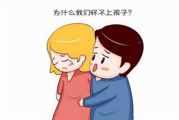 男人吃枸杞子补精吗?「男人吃枸杞能养精吗辟谣还有多少人相信」