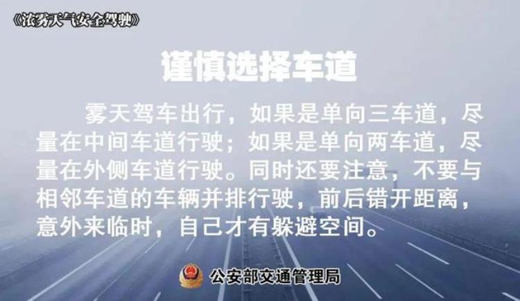 广东新一轮冷空气来袭「温度记AI主播热到要入夏了2月广东将迎4波冷空气」