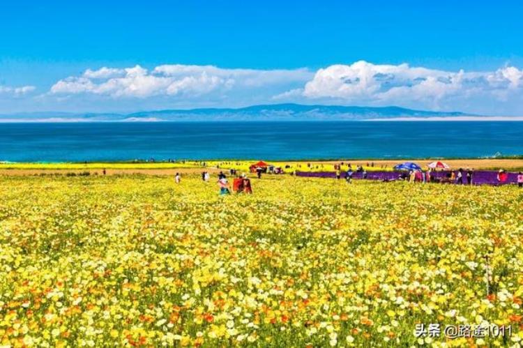 青海一个值得你去100次的地方「青海一个值得你去100次的地方」