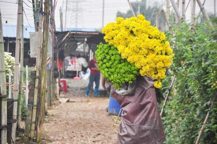 清明为什么既是节气又是节日「为何清明既是节气又是节日哪些地方清明时节雨纷纷概率最大」