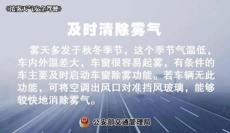 广东新一轮冷空气来袭「温度记AI主播热到要入夏了2月广东将迎4波冷空气」